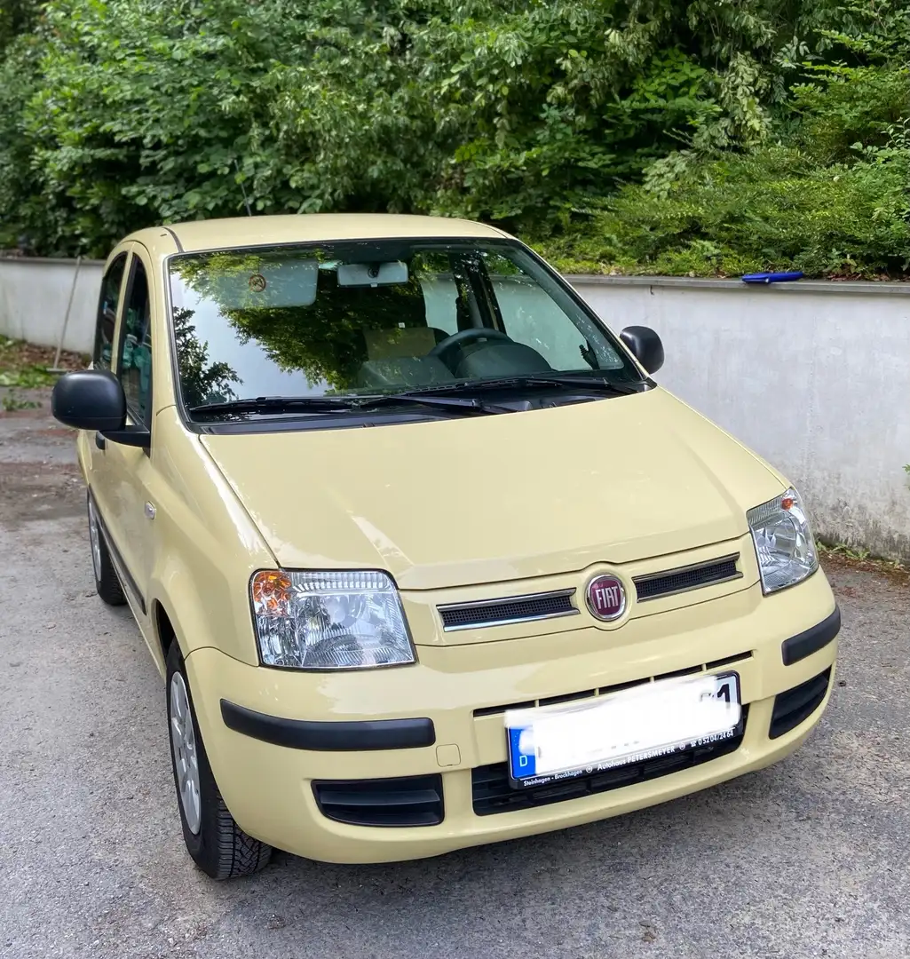 Fiat Panda 1.2 Dynamic Gelb - 1