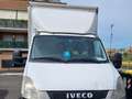 Iveco Campagnola Daily Weiß - thumbnail 3
