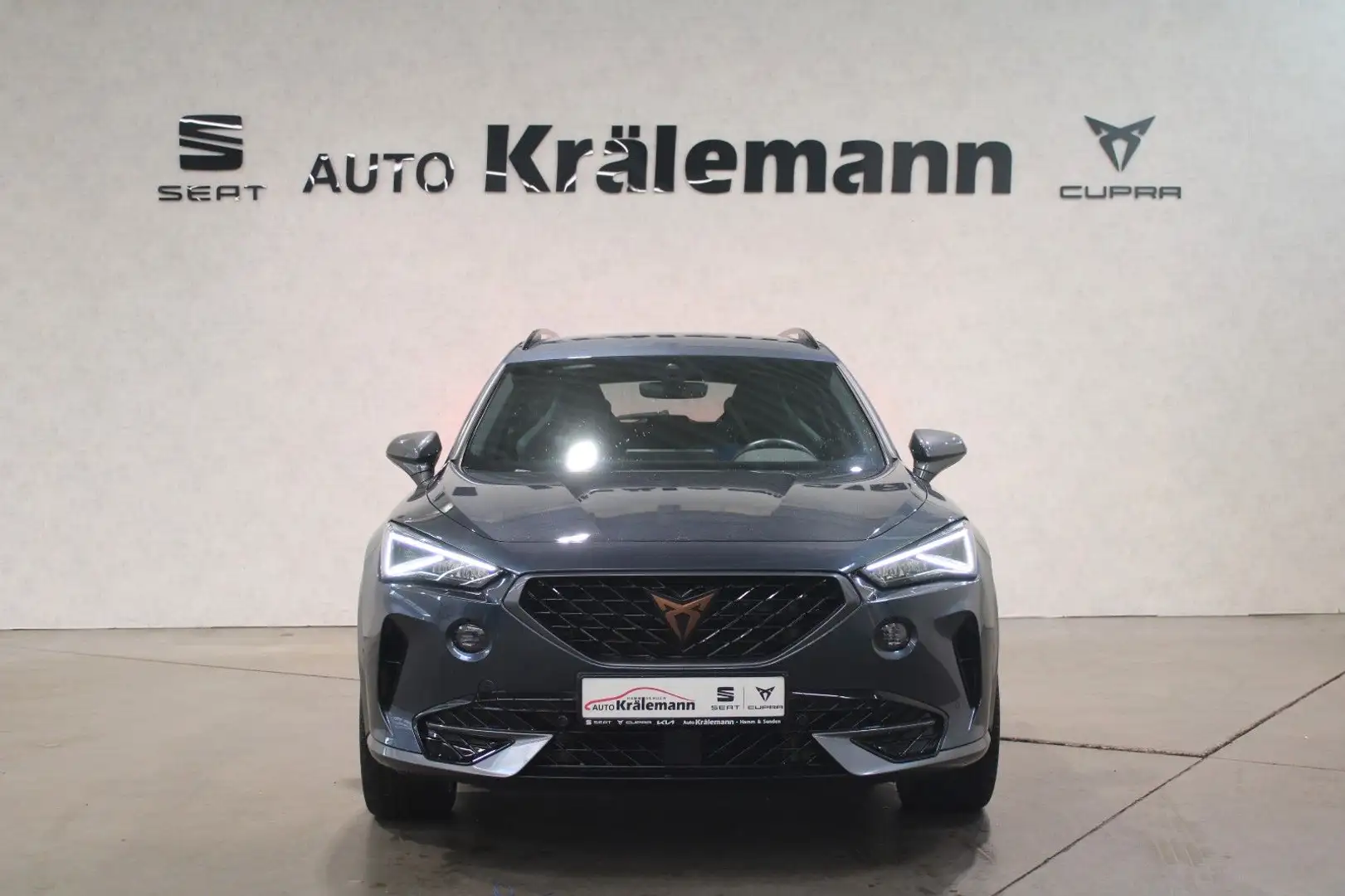 CUPRA Formentor VZ 1,4 DSG e-HYBRID*AHK* Grau - 2