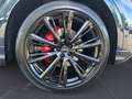 Audi Q8 SUV 50 TDI quattro 210(286) kW(P S) tiptronic Bleu - thumbnail 8