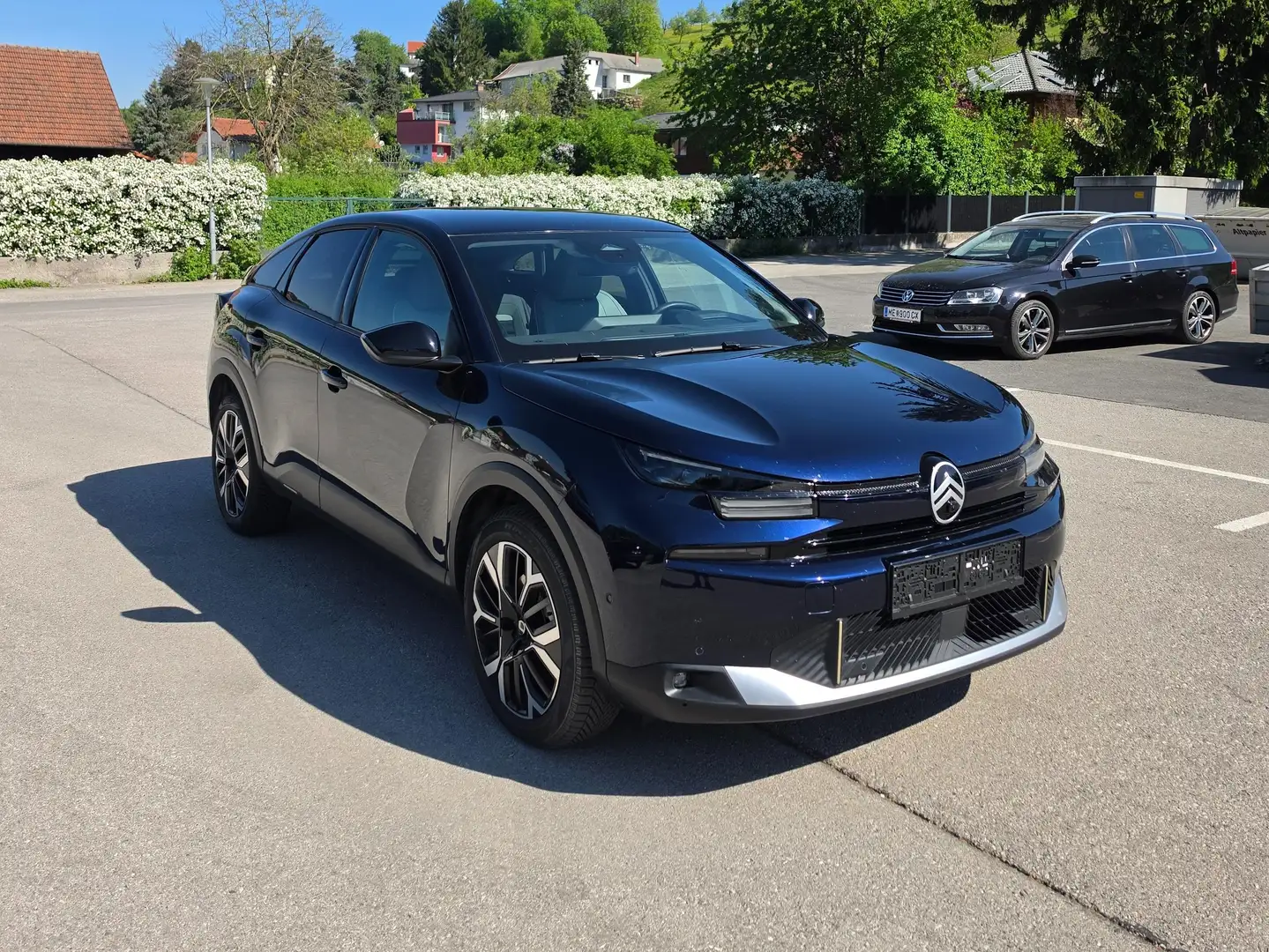 Citroen C4 Max Grün - 2