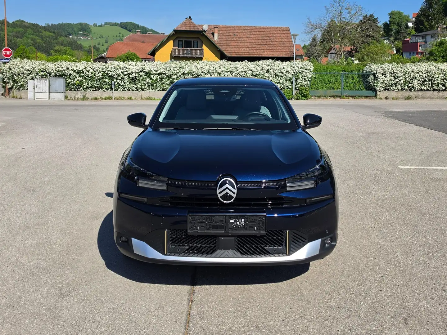 Citroen C4 Max Grün - 1