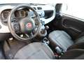 Fiat Panda III 1.2 70 City Cross Gris - thumbnail 5