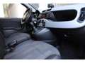 Fiat Panda III 1.2 70 City Cross Gris - thumbnail 9
