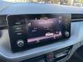 Skoda Kamiq Kamiq 1.0 TSI Ambition Blu/Azzurro - thumbnail 12