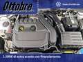 Volkswagen Golf 1.5 etsi evo style 150cv dsg Bianco - thumbnail 15