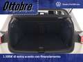 Volkswagen Golf 1.5 etsi evo style 150cv dsg Bianco - thumbnail 9