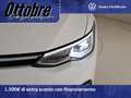 Volkswagen Golf 1.5 etsi evo style 150cv dsg Bianco - thumbnail 7
