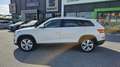 Skoda Kodiaq 2.0 TDI 190 CV 4x4 DSG Style 3MESI DI FURTO INCEN Fehér - thumbnail 2