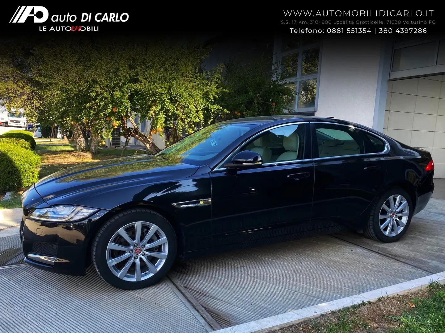 Jaguar XF XF 2.0 D 180 CV AWD aut. Prestige Business Noir - 1