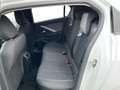 Opel Astra L 1.6 PLug In Edition Batterizertifikat AHK Blanc - thumbnail 15
