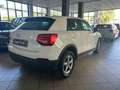 Audi Q2 Q2 I 2017 30 1.6 tdi Business s-tronic my20 - thumbnail 5