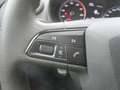 SEAT Ibiza Reference Grau - thumbnail 15