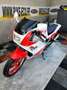 Yamaha TZR 250 Rouge - thumbnail 5