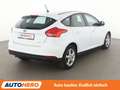 Ford Focus 1.0 EcoBoost Trend*SHZ*ALU*KLIMA*CD* Weiß - thumbnail 6