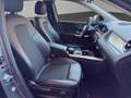 Mercedes-Benz B 250 Progressive +AHK+Adaptive-LED+Kamera+Navi Gris - thumbnail 16