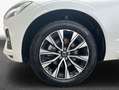 Volvo XC60 XC60 B5 B AWD Core Weiß - thumbnail 7