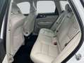 Volvo XC60 XC60 B5 B AWD Core Weiß - thumbnail 12