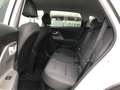 Kia Niro 1.6 PHEV DynamicLine 7 JAAR GARANTIE Weiß - thumbnail 7