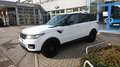 Land Rover Range Rover Sport 3,0 SDV6 HSE Dynamik-Paket Weiß - thumbnail 3
