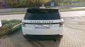 Land Rover Range Rover Sport 3,0 SDV6 HSE Dynamik-Paket Weiß - thumbnail 4