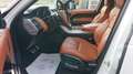 Land Rover Range Rover Sport 3,0 SDV6 HSE Dynamik-Paket Weiß - thumbnail 13