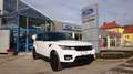 Land Rover Range Rover Sport 3,0 SDV6 HSE Dynamik-Paket Weiß - thumbnail 1
