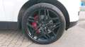 Land Rover Range Rover Sport 3,0 SDV6 HSE Dynamik-Paket Weiß - thumbnail 12