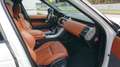 Land Rover Range Rover Sport 3,0 SDV6 HSE Dynamik-Paket Weiß - thumbnail 9
