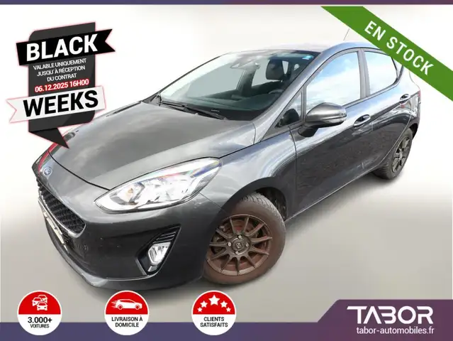 Ford Fiesta 1.0 EcoBoost 100 Vignale Clima