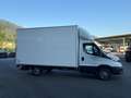 Iveco Daily 35S16HA8 City Box **AKTION** Weiß - thumbnail 4