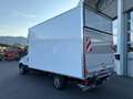 Iveco Daily 35S16HA8 City Box **AKTION** Weiß - thumbnail 7