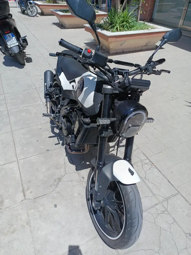 Benelli Leoncino White - 1
