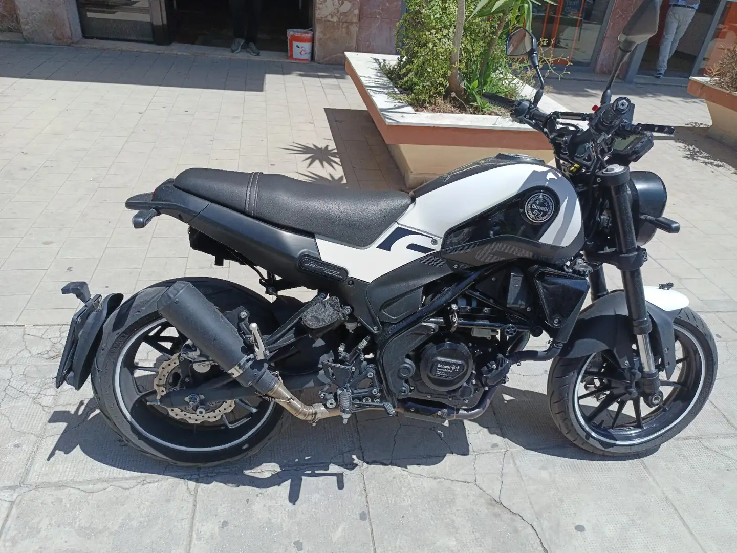 Benelli Leoncino Fehér - 2