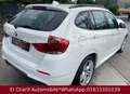 BMW X1 Baureihe X1 18 d xDrive M Sportpaket Weiß - thumbnail 6