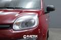 Fiat Panda 1.0 Firefly Hybrid 70CV Rood - thumbnail 4