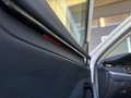 Skoda Octavia Clever 2,0TDI DSG LED* ACC* Kamera* ab € 149,- Weiß - thumbnail 24