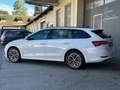 Skoda Octavia Clever 2,0TDI DSG LED* ACC* Kamera* ab € 149,- Weiß - thumbnail 5