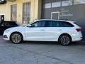 Skoda Octavia Clever 2,0TDI DSG LED* ACC* Kamera* ab € 149,- Weiß - thumbnail 3