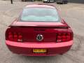 Ford Mustang 4.0 V6 Czerwony - thumbnail 7