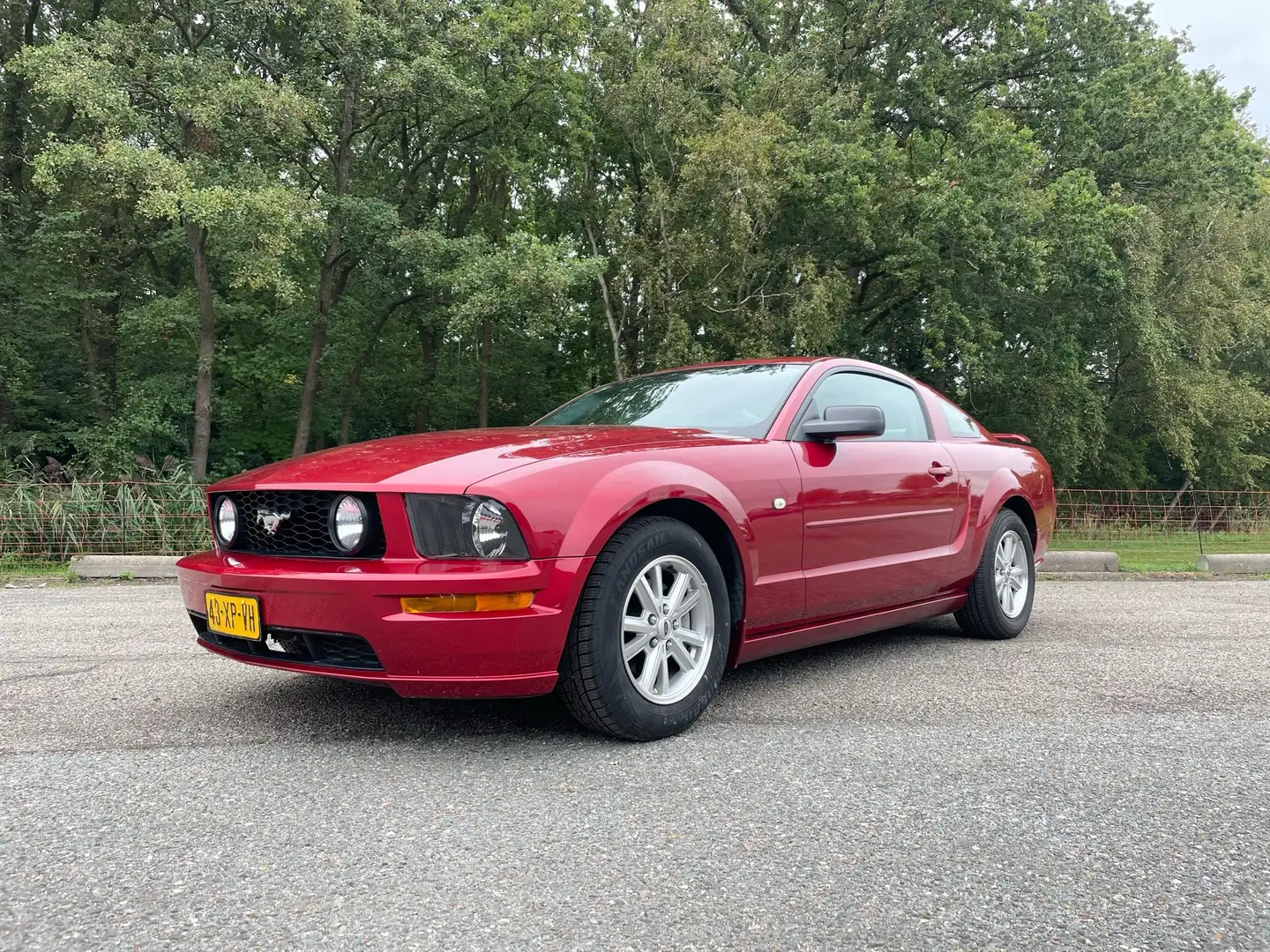 Ford Mustang 4.0 V6 Roşu - 1