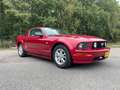 Ford Mustang 4.0 V6 Rouge - thumbnail 4