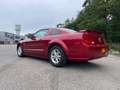 Ford Mustang 4.0 V6 Rosso - thumbnail 3