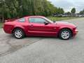 Ford Mustang 4.0 V6 Rojo - thumbnail 6