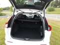 Honda CR-V 2,0 e:HEV Advance Style AWD-Allrad Alb - thumbnail 6