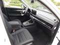 Honda CR-V 2,0 e:HEV Advance Style AWD-Allrad Alb - thumbnail 8