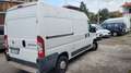 Fiat Ducato 35 2.3 MJT PM-TM Furgone L2H2 Bianco - thumbnail 4