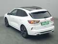Ford Kuga ST-Line X 225PS PHEV/AHK/Pano/Winter-P./PDC Weiß - thumbnail 31