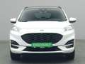 Ford Kuga ST-Line X 225PS PHEV/AHK/Pano/Winter-P./PDC Weiß - thumbnail 6