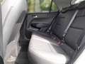 Kia Picanto GT-LINE 1.0T 100PS KAMERA+SITZHZG+AC-AUTOM+NAVI-AP Weiß - thumbnail 12